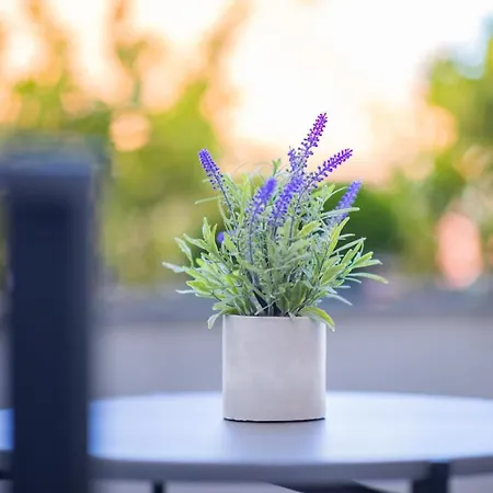 דירה Happy House Old Town Luxury סראייבו