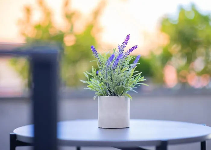 Apartmán Happy House Old Town Luxury Sarajevo